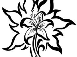 Flower - Lily Sun