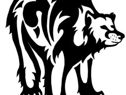 Bear